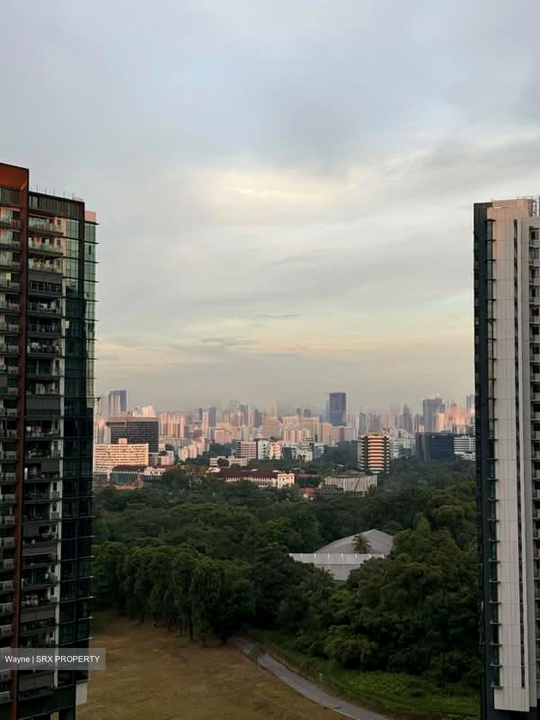 Normanton Park (D5), Apartment #564133051